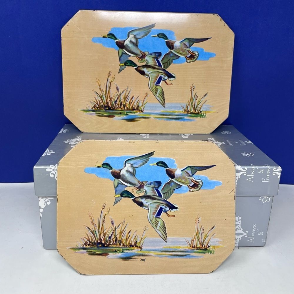 MCM 1950’s Pro-Tex Metal Mallard Duck Octagon Hot Plates Set